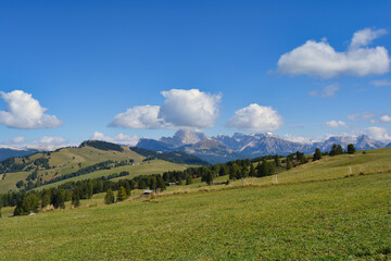 Fototapeta na wymiar Grüne Wiesen und blauer Himmel auf der Seiser Alm in Südtirol - Green meadows and blue sky at the seiser alm in south tyrol