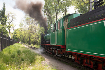 Fototapeta na wymiar Narrow-gauge steam locomotive
