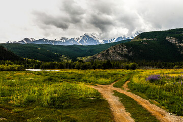 road fork in the mounty landskape