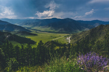 mountain landscape with road and forest