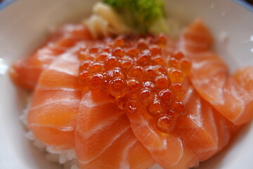 Japanese food Seafood sashimi Salmon 
Selective focus