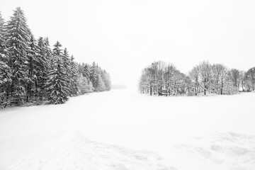 winter landscape with snowy trees in Czech Republic