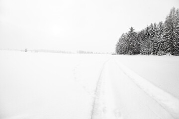 winter landscape with snowy trees in Czech Republic