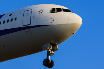 飛行機の機首