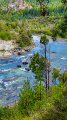 torrential river in a forest in San Martin de los Andes, Neuquen, Argentina    