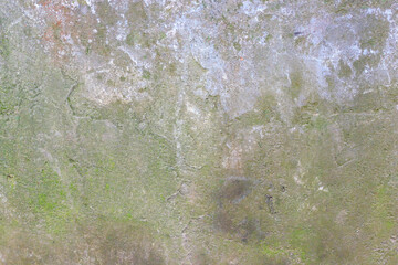 Old brick wall with plaster covered with moss. 