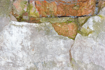 Old brick wall with plaster covered with moss. 