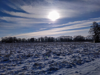 Fototapeta na wymiar The winter landscape in January