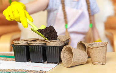 The process of planting seedlings in peat pots. Gardener girl. Gardening, spring planting. Love nature concept. Ecology and environment. The heart of the soil. Plant flower shop. Sweet home.