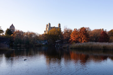 The Turtle Pond at Central Park during an Evening in Autumn with Colorful Trees in New York City