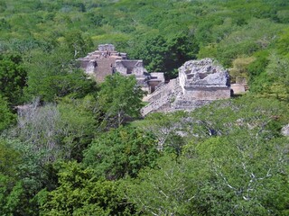 Pyramides mayas au milieu de la for&ecirc;t du Yucatan
