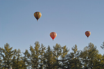 Obraz premium Hot Air Balloons