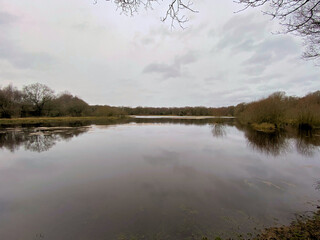 A view of Brown Moss Nature Reserve near Whitchurch in Shropshire