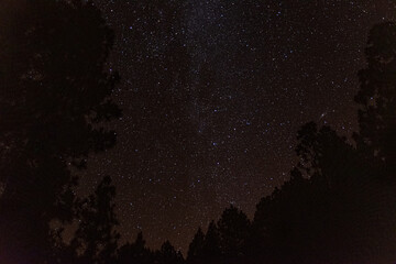 Star constellations from La Palma Island, Canaries