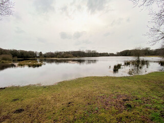 A view of Brown Moss Nature Reserve near Whitchurch in Shropshire