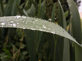 gouttes d'eau
