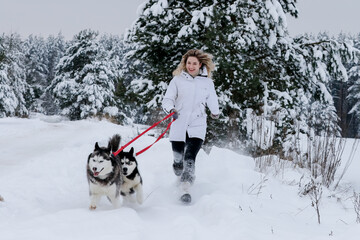 Girl walking with siberian husky in winter forest and park, animals and ecology