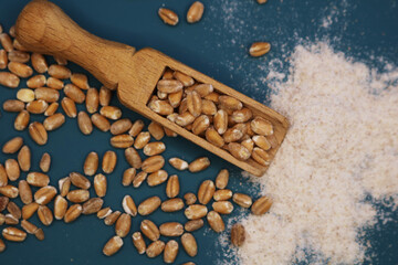 Wooden ladle filled with grains. Wheat grains and flour from them. Bran and grains are scattered on the blue table. Blue background. Selective focus.