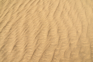 Natural Desert Rippled Sand Seamless Pattern Texture