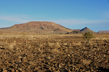 Fototapeta na wymiar Desert landscape and vegetastion in the south of Namibia near Retboog