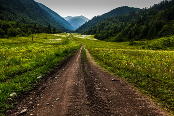 road, green field and mountains in summer