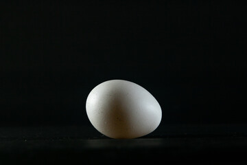 chicken egg on black background