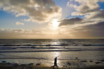 Fototapeta premium girl walking on the beach at sunset silhoette