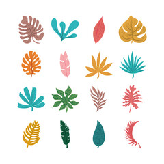 tropical leaf foliage greenery plants icon set flat design