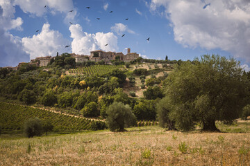 Fototapeta na wymiar Scenic view of the medieval village of Castelnuovo dell'Abate, Montalcino, Tuscany, Italy