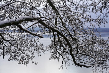 Große schneebedeckte Äste über der Wasserfläche eines Sees