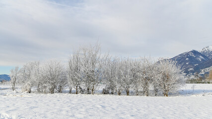 Fototapeta na wymiar Veduta della campagna in una mattina invernale