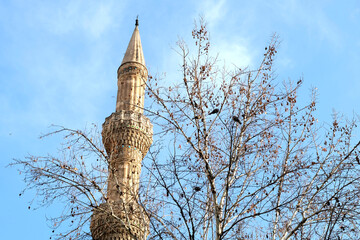 Nuri Mehmet Pasha(Pasa) Mosque, Camii Minaret with tree view, Gaziantep, Turkey 