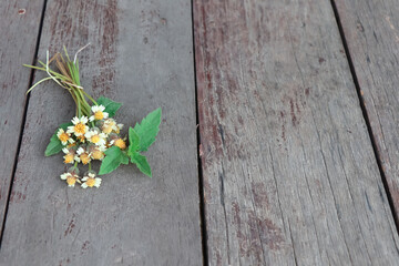 Flower are blooming on wood