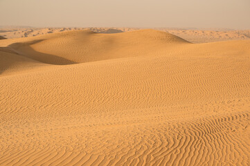 Fototapeta na wymiar Beautiful untouched sand dunes in desert