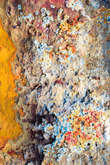 Abstract textures and formations on the banks of Rio Tinto river, Andalusia Spain.