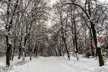 Śnieżna zima w ogrodach Pałacu Branickich, Podlasie, Polska