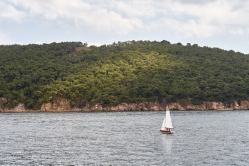 sea view to the sailboat on the water with the island behind. sun trail on the island forest....