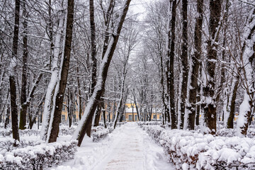 Śnieżna zima w ogrodach Pałacu Branickich, Podlasie, Polska