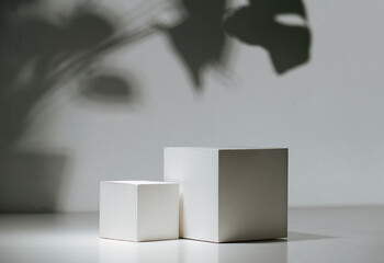 Composition of two white cubes in front of a white wall with a shadow of big leaves of monstera...