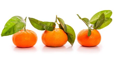 
Three tangerines with green leaves on a white background. Isolate 