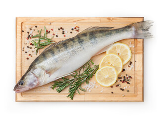 Fresh uncooked pike perch with lemon, rosemary and spice on wooden board isolated on white background with clipping path