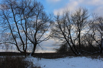 Zimowy widoczek © SZYMON