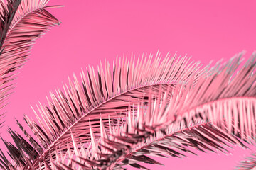 Creativity composition with pink background, palm tree, lay out, space for text