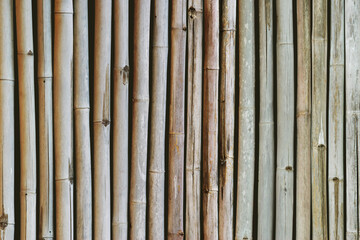 Old Bamboo Fence Texture Background