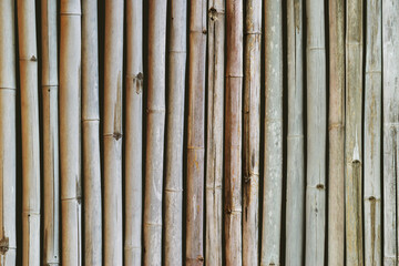 Fototapeta premium Old Bamboo Fence Texture Background