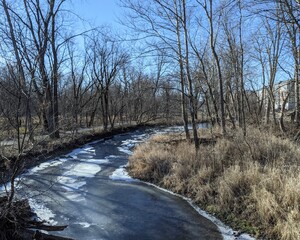Frozen river among the woods