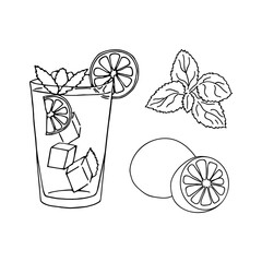 Glass of mojito, ice cubes, mint leaves and lime slice outline. Hand drawing. Vector cocktail objects. Cold mojito cocktail poster. © Iuliia  Emelianova