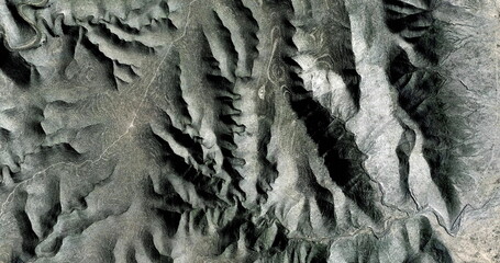 petrified vegetation,   United States, abstract photography of relief drawings in  fields in the...