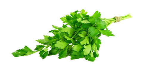 Fresh parsley isolated on white background.