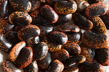 Red and black spotted beans close-up. The pattern of the haricot, background, texture. A healthy diet, a source of protein. Copy space